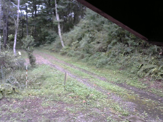 長野県菅平高原 ゆたか山荘 東側(坂下) 2025/09/20 15:30