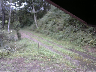 長野県菅平高原 ゆたか山荘 東側(坂下) 2025/09/20 16:00