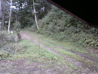 長野県菅平高原 ゆたか山荘 東側(坂下) 2025/09/20 16:45