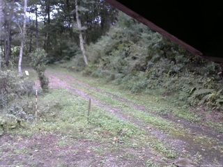 長野県菅平高原 ゆたか山荘 東側(坂下) 2025/09/20 17:00