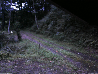 長野県菅平高原 ゆたか山荘 東側(坂下) 2025/09/20 17:45