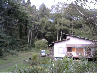 長野県菅平高原 ゆたか山荘 西側(坂上) 2025/09/20 05:45