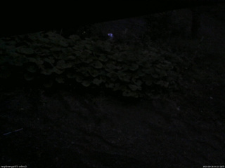 長野県菅平高原 ゆたか山荘 駐車場 2025/09/20 05:15