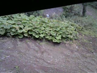 長野県菅平高原 ゆたか山荘 駐車場 2025/09/20 05:30