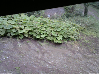 長野県菅平高原 ゆたか山荘 駐車場 2025/09/20 05:45