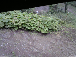 長野県菅平高原 ゆたか山荘 駐車場 2025/09/20 06:00