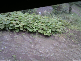 長野県菅平高原 ゆたか山荘 駐車場 2025/09/20 06:15