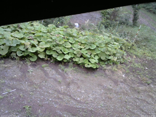 長野県菅平高原 ゆたか山荘 駐車場 2025/09/20 06:30