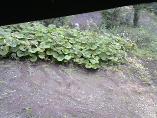 長野県菅平高原 ゆたか山荘 駐車場 2025/09/20 06:45