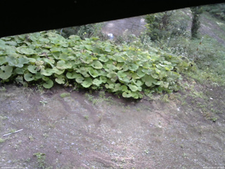 長野県菅平高原 ゆたか山荘 駐車場 2025/09/20 07:00