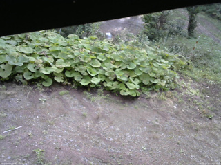 長野県菅平高原 ゆたか山荘 駐車場 2025/09/20 07:15