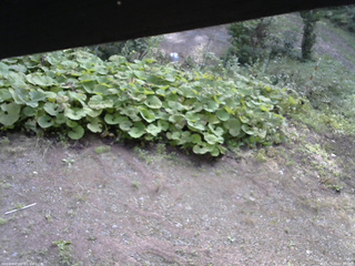 長野県菅平高原 ゆたか山荘 駐車場 2025/09/20 07:30