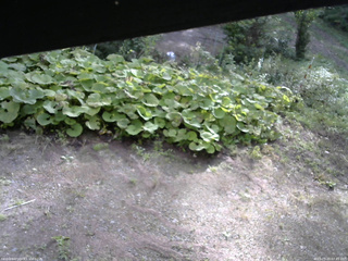 長野県菅平高原 ゆたか山荘 駐車場 2025/09/20 07:45