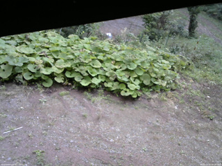長野県菅平高原 ゆたか山荘 駐車場 2025/09/20 08:00