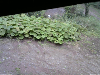 長野県菅平高原 ゆたか山荘 駐車場 2025/09/20 08:15