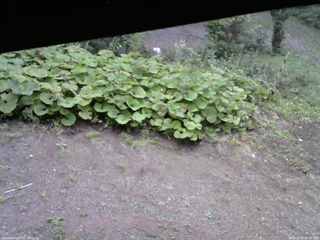 長野県菅平高原 ゆたか山荘 駐車場 2025/09/20 08:30