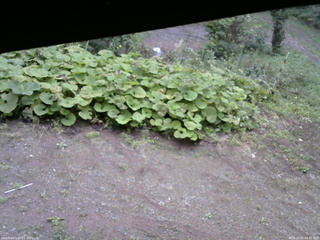長野県菅平高原 ゆたか山荘 駐車場 2025/09/20 08:45