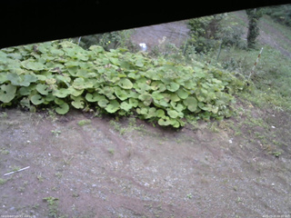 長野県菅平高原 ゆたか山荘 駐車場 2025/09/20 09:00
