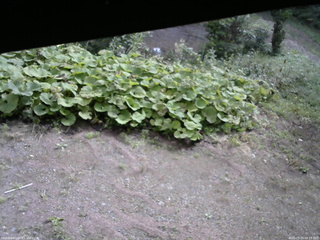 長野県菅平高原 ゆたか山荘 駐車場 2025/09/20 09:15