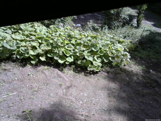 長野県菅平高原 ゆたか山荘 駐車場 2025/09/20 09:30