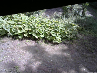 長野県菅平高原 ゆたか山荘 駐車場 2025/09/20 09:45