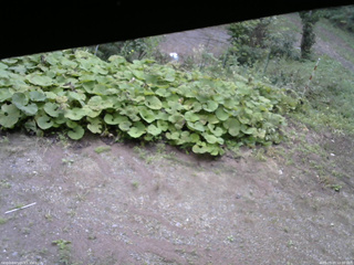 長野県菅平高原 ゆたか山荘 駐車場 2025/09/20 10:00