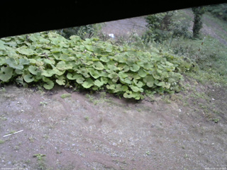 長野県菅平高原 ゆたか山荘 駐車場 2025/09/20 10:15