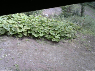 長野県菅平高原 ゆたか山荘 駐車場 2025/09/20 10:30