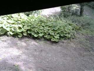 長野県菅平高原 ゆたか山荘 駐車場 2025/09/20 10:45