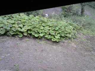 長野県菅平高原 ゆたか山荘 駐車場 2025/09/20 11:15