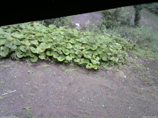 長野県菅平高原 ゆたか山荘 駐車場 2025/09/20 11:30