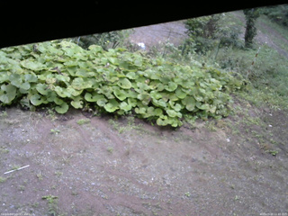 長野県菅平高原 ゆたか山荘 駐車場 2025/09/20 11:45