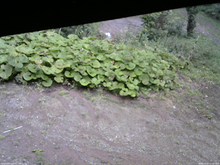 長野県菅平高原 ゆたか山荘 駐車場 2025/09/20 12:00