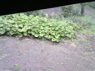 長野県菅平高原 ゆたか山荘 駐車場 2025/09/20 12:15