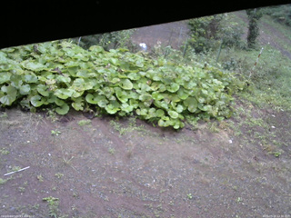 長野県菅平高原 ゆたか山荘 駐車場 2025/09/20 12:30