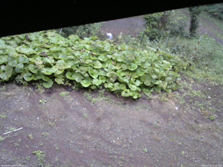 長野県菅平高原 ゆたか山荘 駐車場 2025/09/20 12:45
