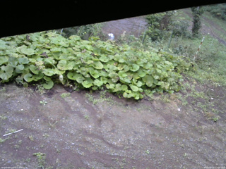 長野県菅平高原 ゆたか山荘 駐車場 2025/09/20 13:00