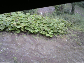 長野県菅平高原 ゆたか山荘 駐車場 2025/09/20 13:15