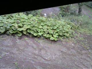 長野県菅平高原 ゆたか山荘 駐車場 2025/09/20 13:30