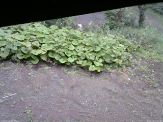 長野県菅平高原 ゆたか山荘 駐車場 2025/09/20 13:45