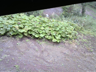 長野県菅平高原 ゆたか山荘 駐車場 2025/09/20 14:00