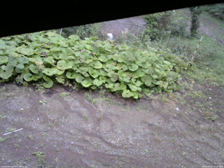 長野県菅平高原 ゆたか山荘 駐車場 2025/09/20 14:15