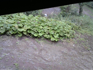 長野県菅平高原 ゆたか山荘 駐車場 2025/09/20 14:30