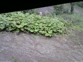 長野県菅平高原 ゆたか山荘 駐車場 2025/09/20 14:45