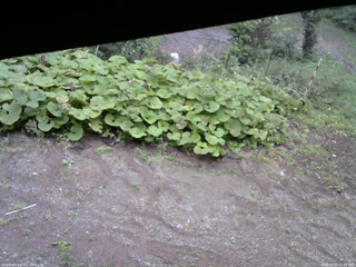 長野県菅平高原 ゆたか山荘 駐車場 2025/09/20 15:00