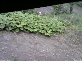長野県菅平高原 ゆたか山荘 駐車場 2025/09/20 15:15