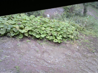 長野県菅平高原 ゆたか山荘 駐車場 2025/09/20 15:30