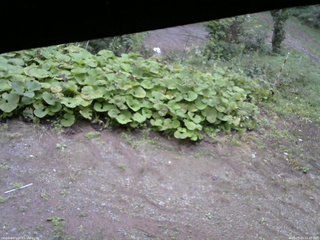長野県菅平高原 ゆたか山荘 駐車場 2025/09/20 15:45