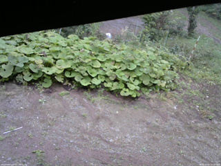 長野県菅平高原 ゆたか山荘 駐車場 2025/09/20 16:00