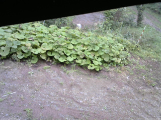 長野県菅平高原 ゆたか山荘 駐車場 2025/09/20 16:15